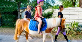 poney