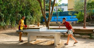ping pong